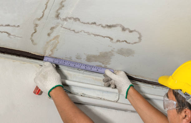 Reliable Burst Pipe Cleanup contractor in New Florence, MO by Water Damage Irwin